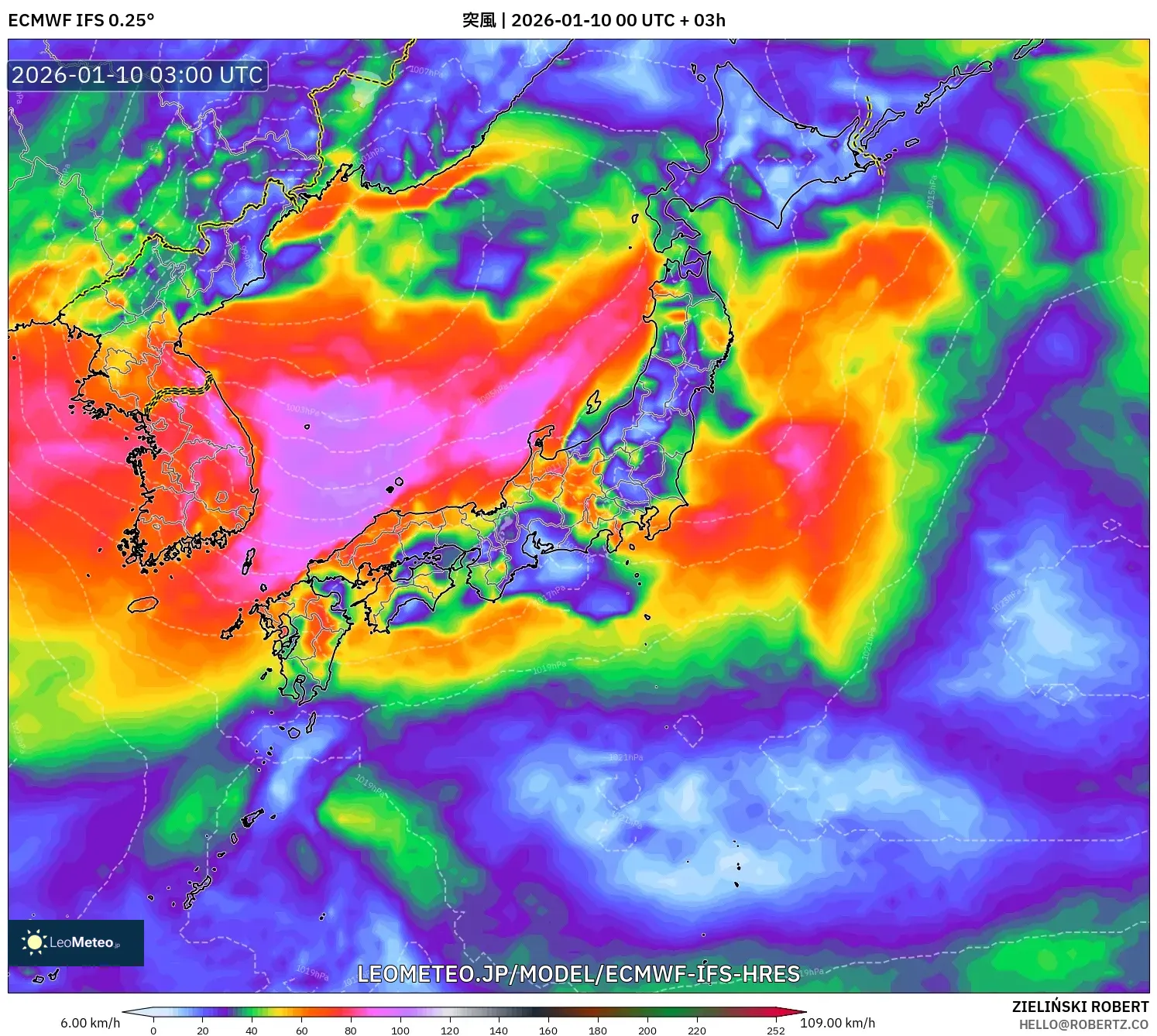 ECMWF IFS 0.25° model - 日本, 突風