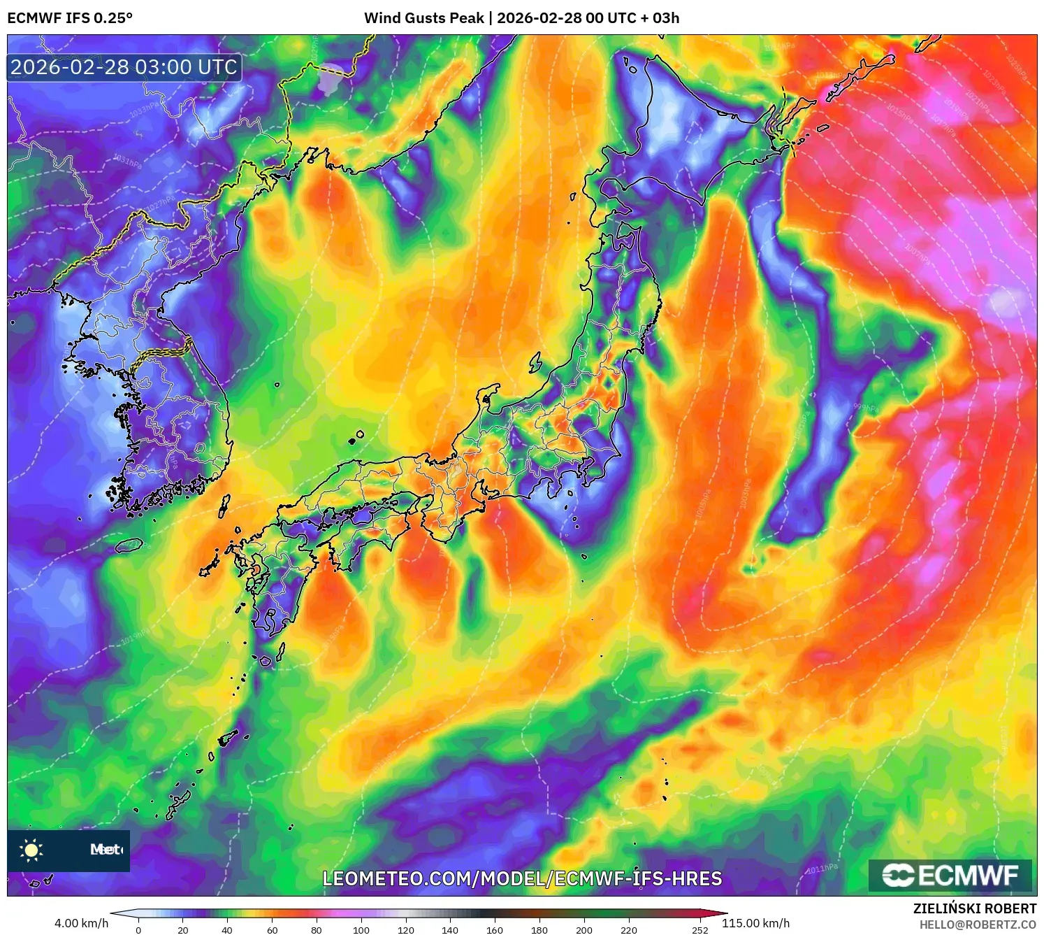 ECMWF IFS 0.25° model - 日本, 突風（最大）