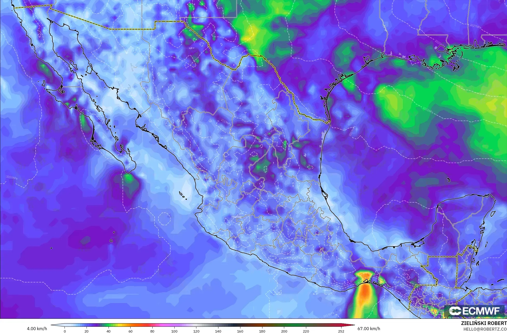 ECMWF IFS 0.25° モデル - メキシコ, 突風（最大）