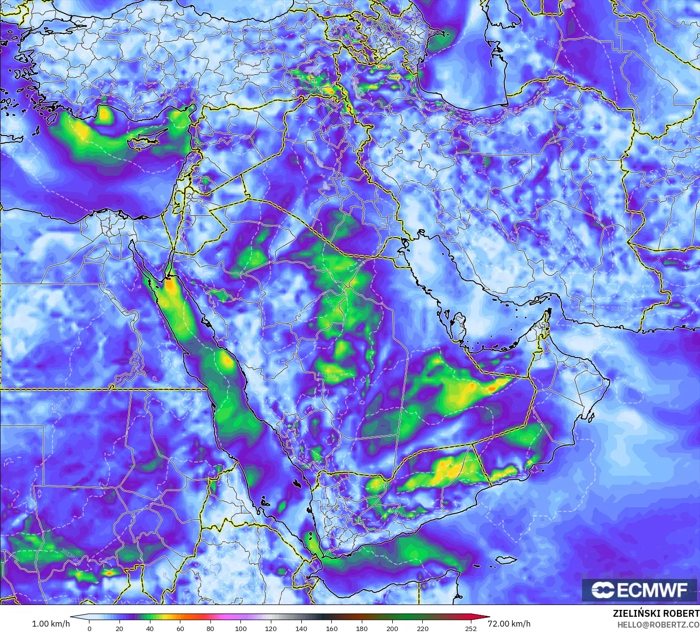 ECMWF IFS 0.25° モデル - 中東, 突風（最大）