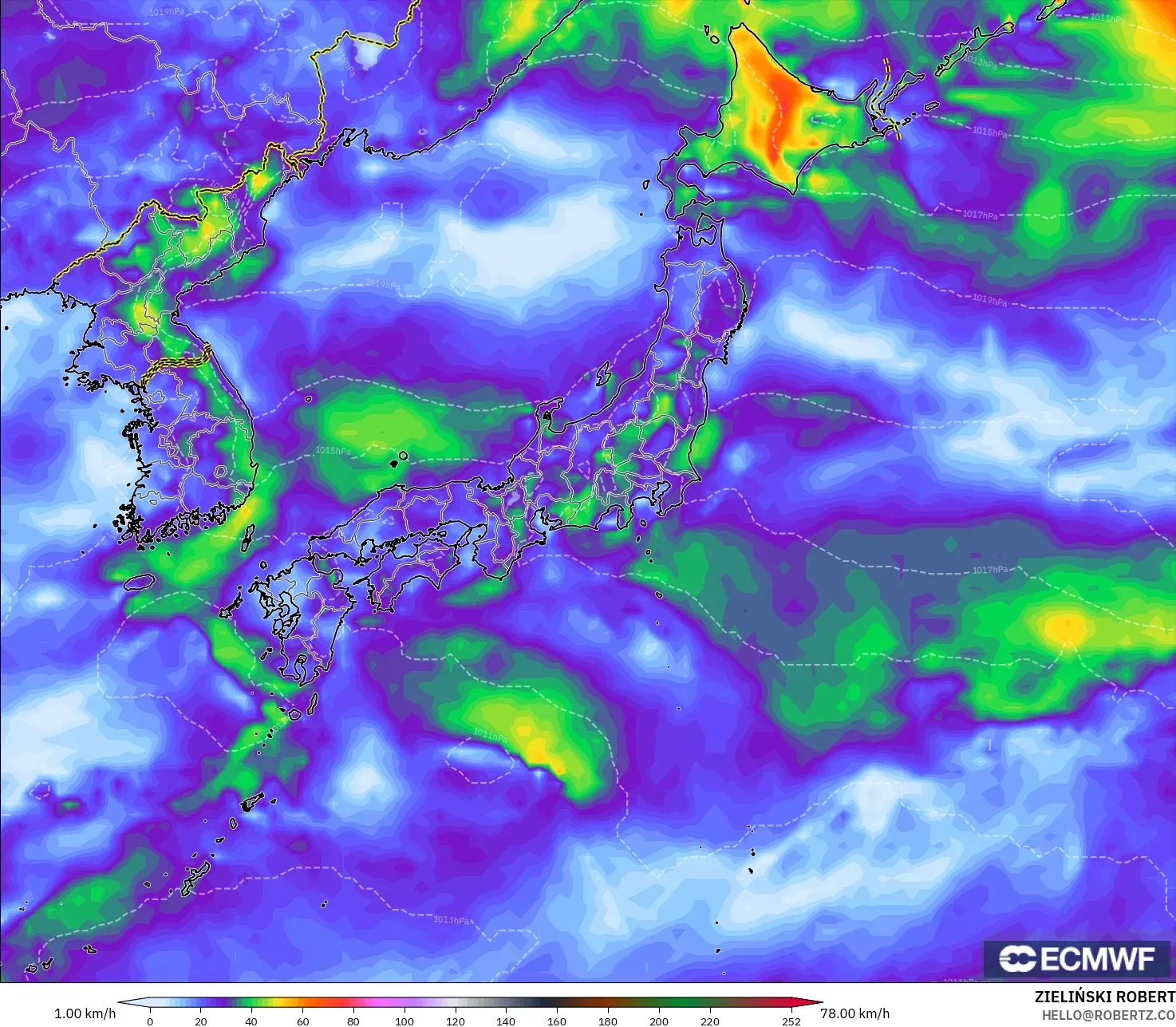 ECMWF IFS 0.25° モデル - 日本, 突風（最大）