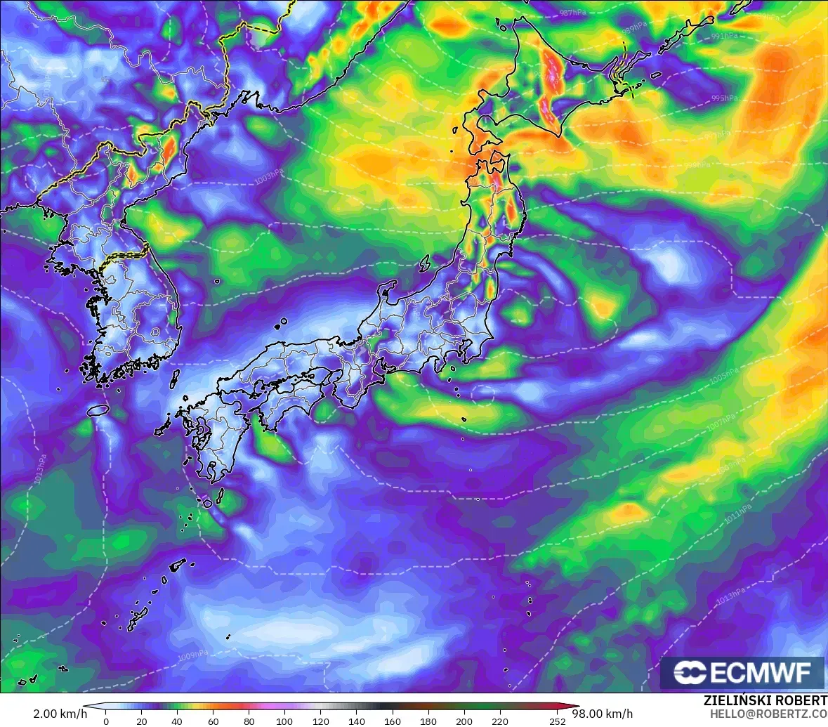 ECMWF IFS 0.25° モデル - 日本, 突風（最大）