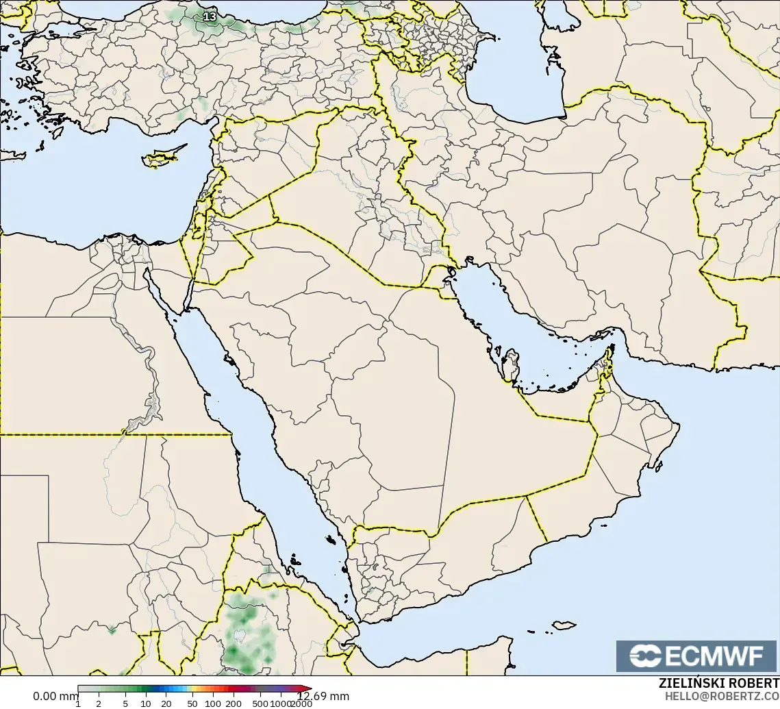 ECMWF IFS 0.25° モデル - 中東, 降水量の合計