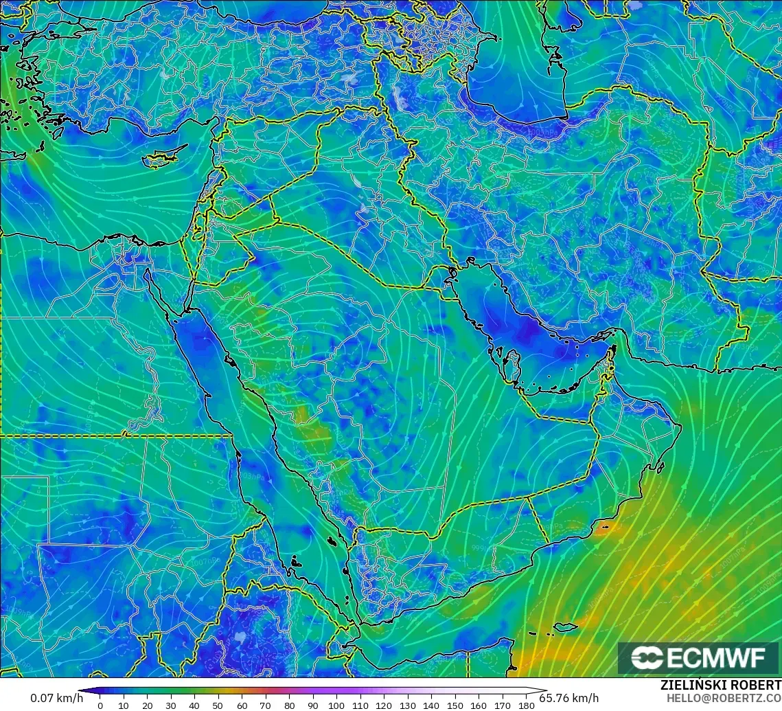 ECMWF IFS 0.25° モデル - 中東, 風速（10m）