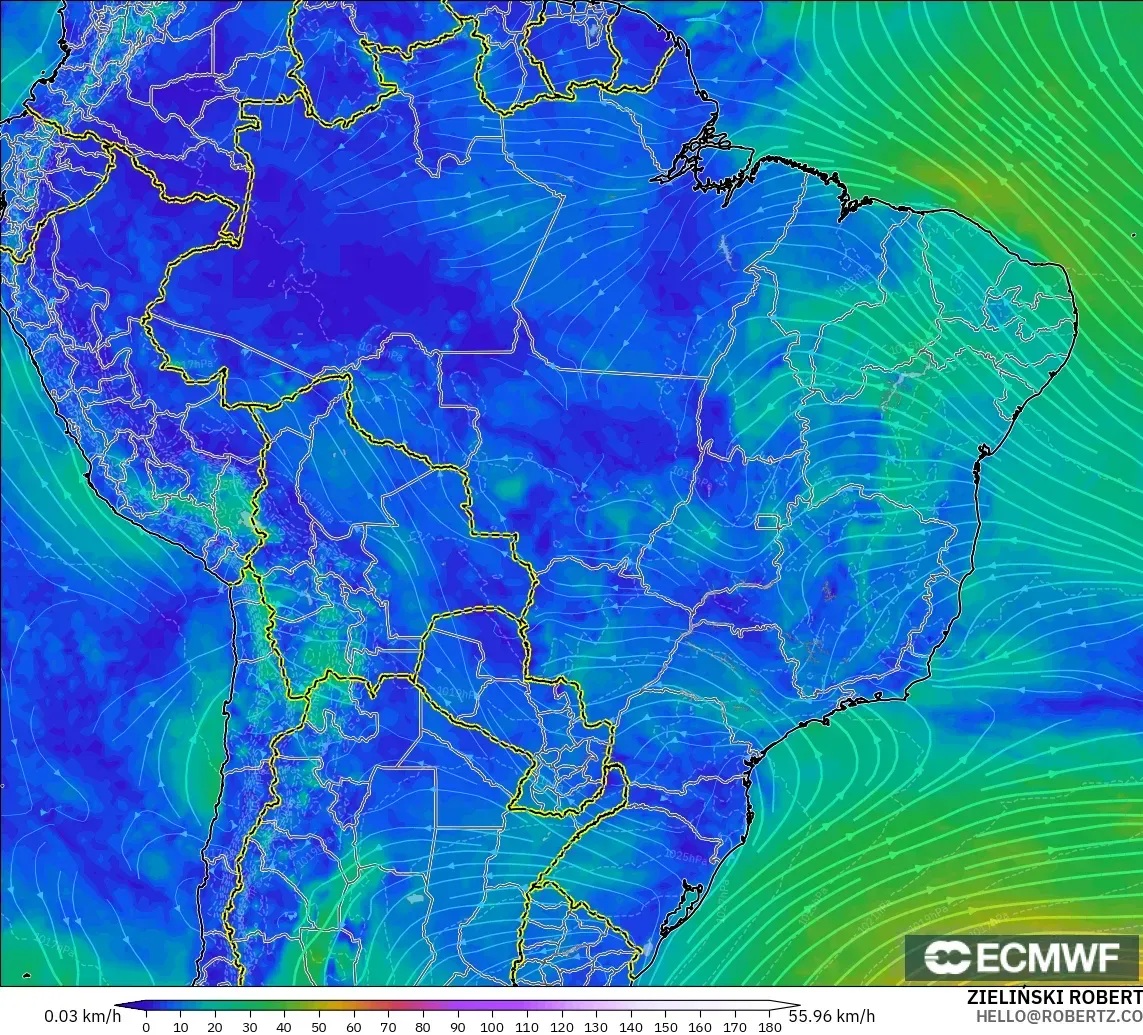 ECMWF IFS 0.25° モデル - ブラジル, 風速（10m）