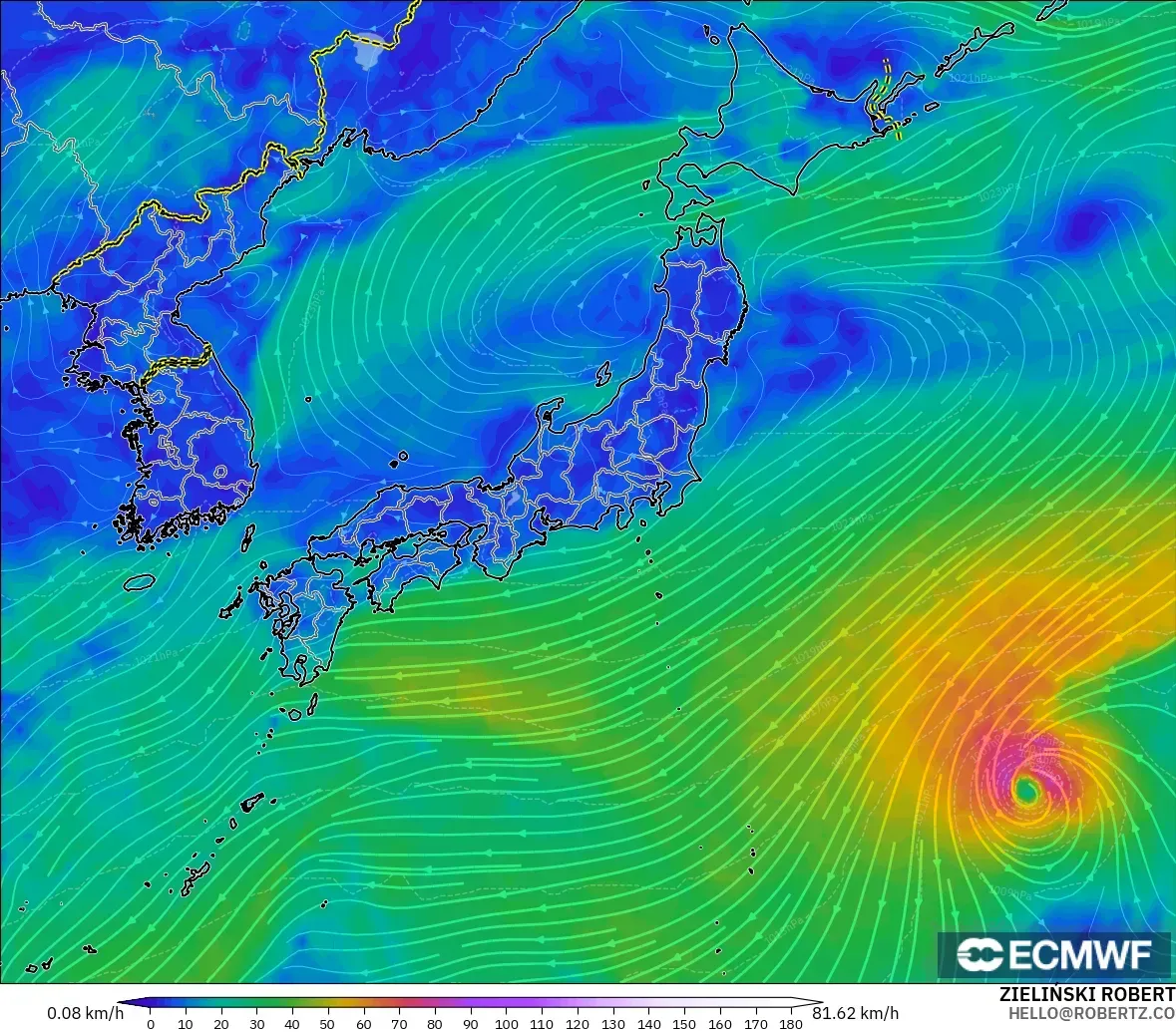ECMWF IFS 0.25° モデル - 日本, 風速（10m）
