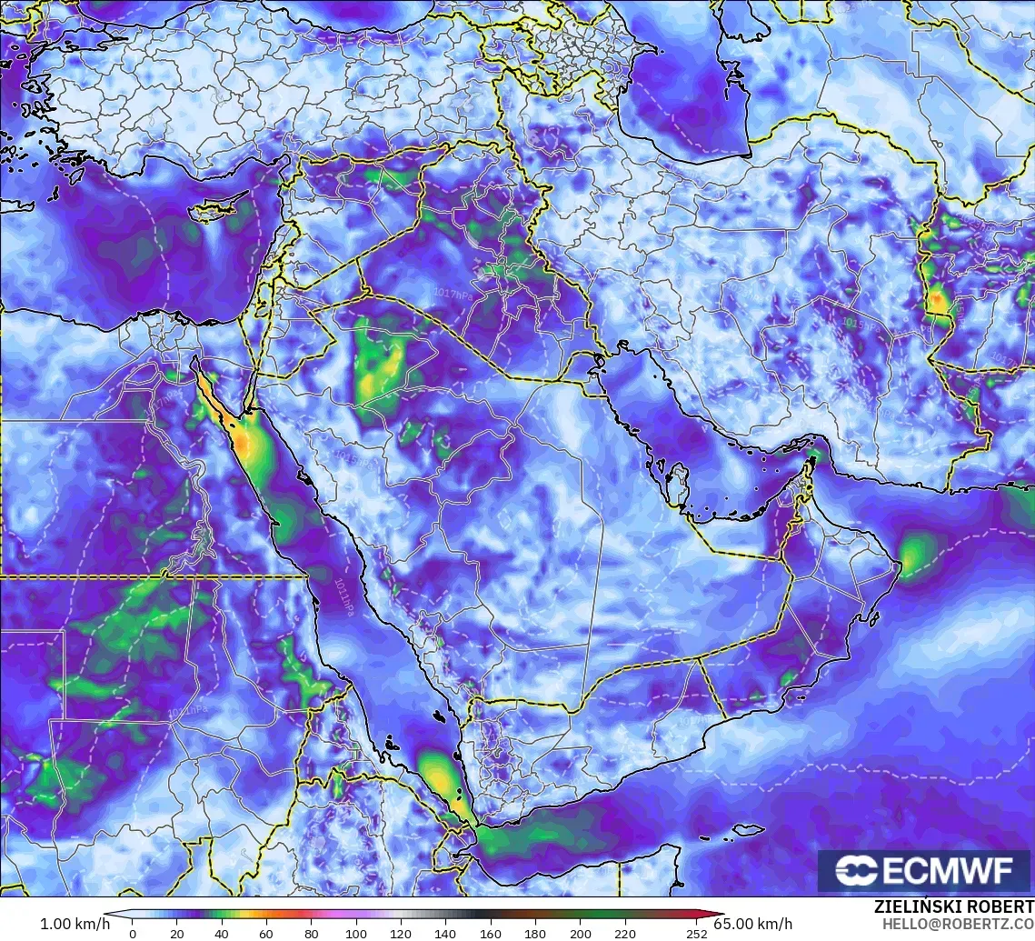 ECMWF IFS 0.25° モデル - 中東, 突風（最大）