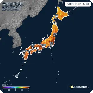 今日の気温