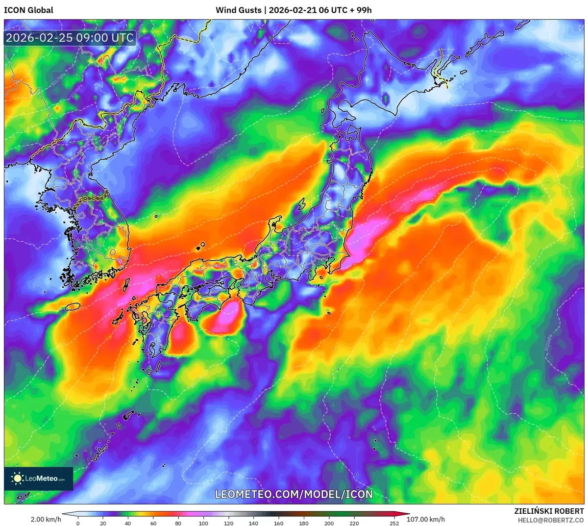 2026年2月25日 夜の風の分布（ICON）