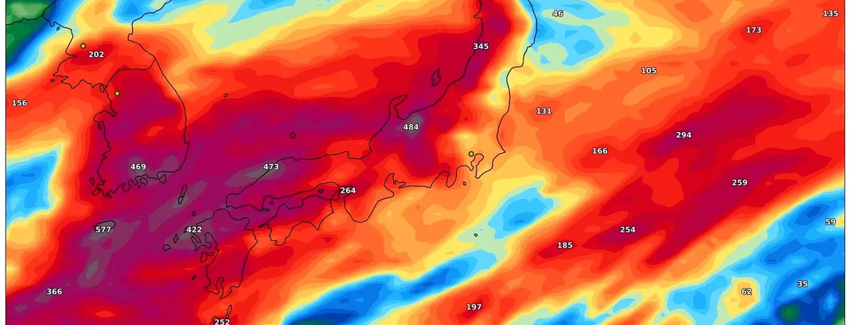 東京の最新天気予報(2025年6月4日~6月10日)