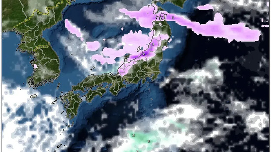 2026年2月1日　キリッと冷えた冬の日：晴天優勢、北日本は雪、南日本は穏やかな暖かさ