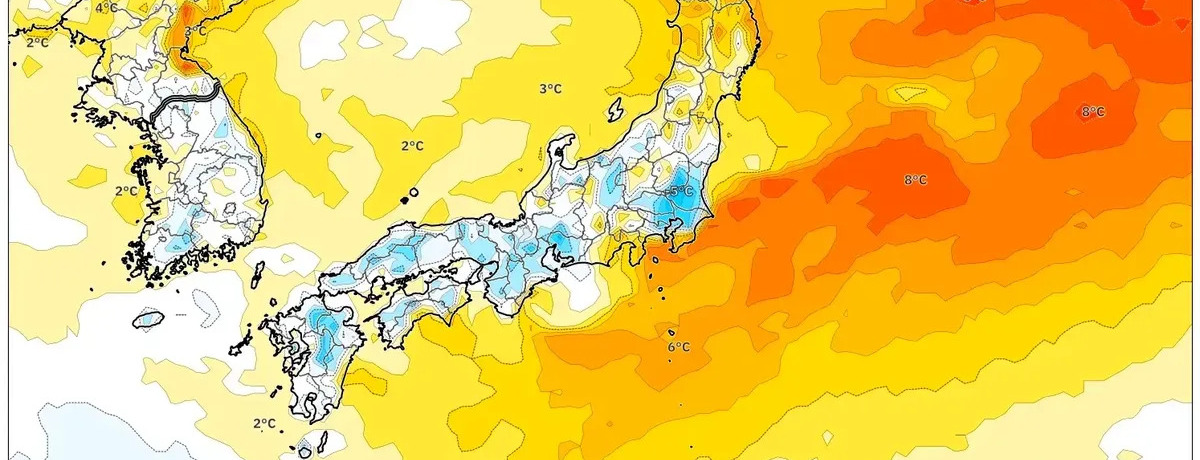九州や関東で強い雨による路面悪化・小規模な浸水のおそれ　北海道は5cm前後の雪で交通に影響も　低気圧が中部〜南部に雨、北日本に雪をもたらす見通し — 2026年2月11日（水・あす）