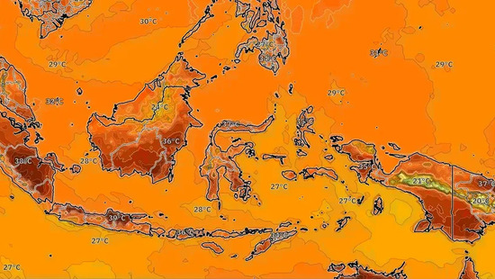 最高気温は37℃まで上がります。雪は高山まで届きます。日本では寒さが深まる見込みです。
